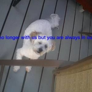 Meet your Posher, Rosalinda